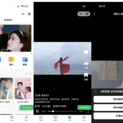 小剧场短剧影视带支付收益等模式的wx/抖音/快手/小程